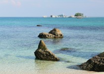 Lengkuas Belitung Go Belitung