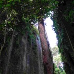 Bukit Paramun Air Selumar Belitung Indonésie