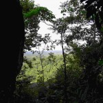 Bukit Peramun Aik Selumar Belitung Indonesia GoBelitung