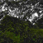 Bukit Peramun Aik Selumar Belitung Indonesia GoBelitung