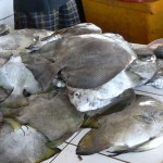 marché aux poissons Tanjung Pandan Belitung Indonésie