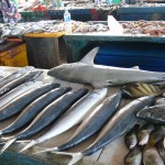 marché aux poissons Tanjung Pandan Belitung Indonésie