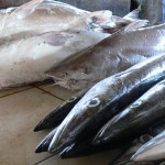 marché aux poissons Tanjung Pandan Belitung Indonésie