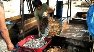 Tanjung Binga Belitung Go Belitung
