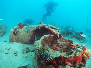Diving Belitung Indonésie Go Belitung