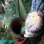 gula merah Belitung Go Belitung