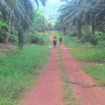 Belitung Indonésie Go Belitung