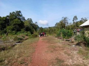 hayo jalan