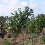Belitung Indonésie Go Belitung