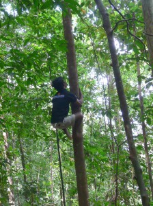 Selat-en-action