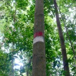marque Belitung Indonésie Go Belitung