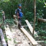 papan