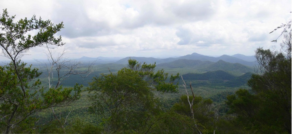 vue-sur-Aik-Nangka-de-Gunung-Kubing