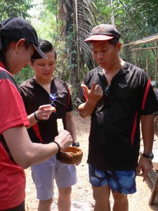 Gula Merah Belitung