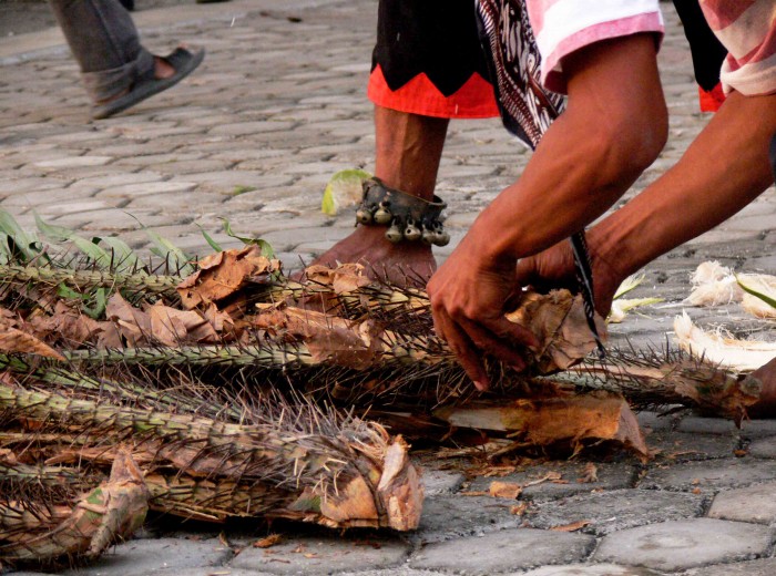 epines de salak
