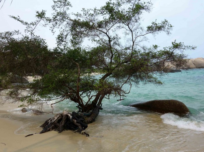 Pantai Penyabon