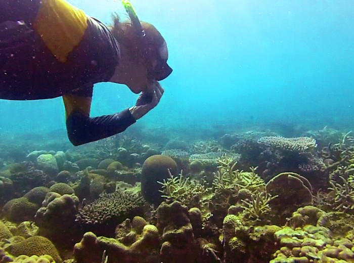 Pascal en apnee Belitung Indonesie