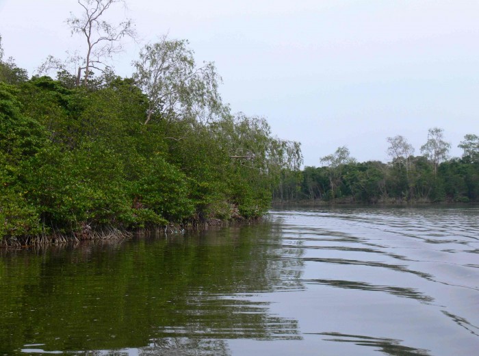 riviere Gantung Belitung Indonésie