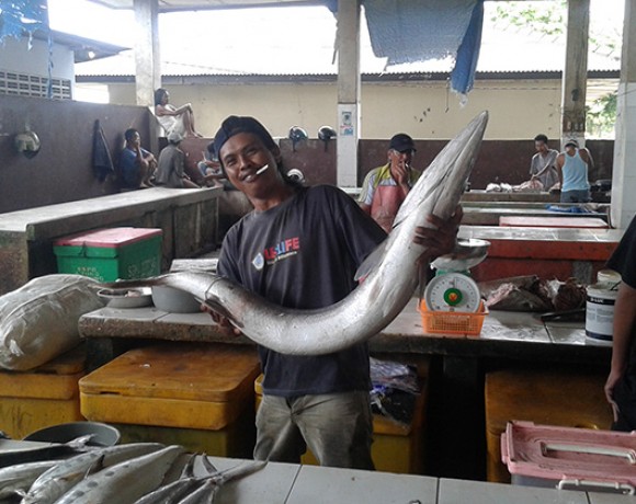 Pasar Ikan Belitung Indonesia Go Belitung