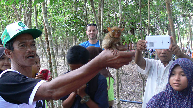 remise en liberte tarsius Go Belitung