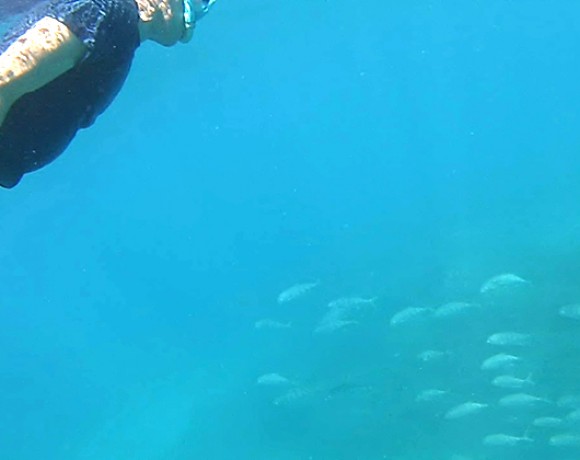 teo et poissons Go Belitung