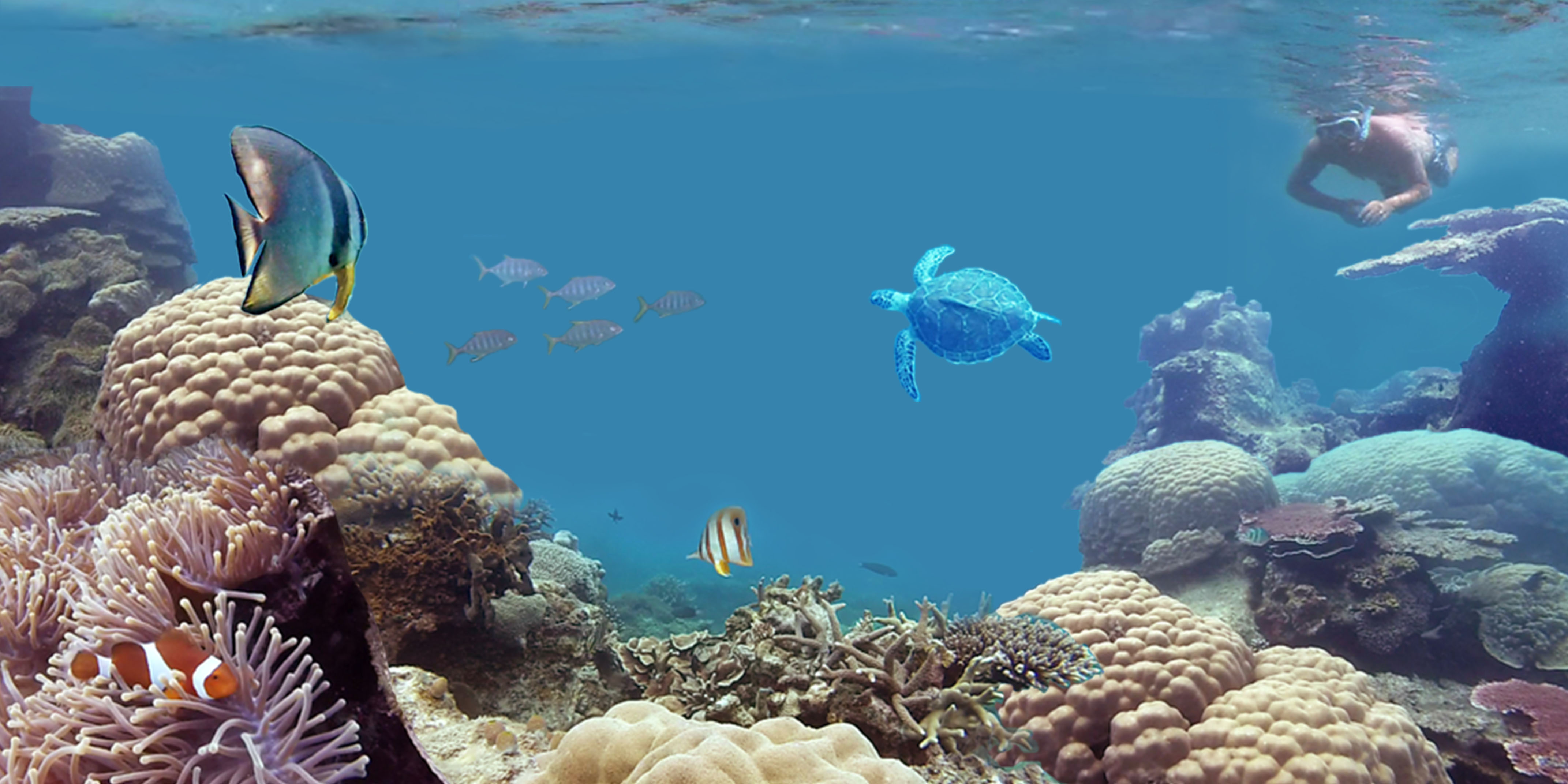 Snorkeling in Belitung Island Indonesia gobelitung
