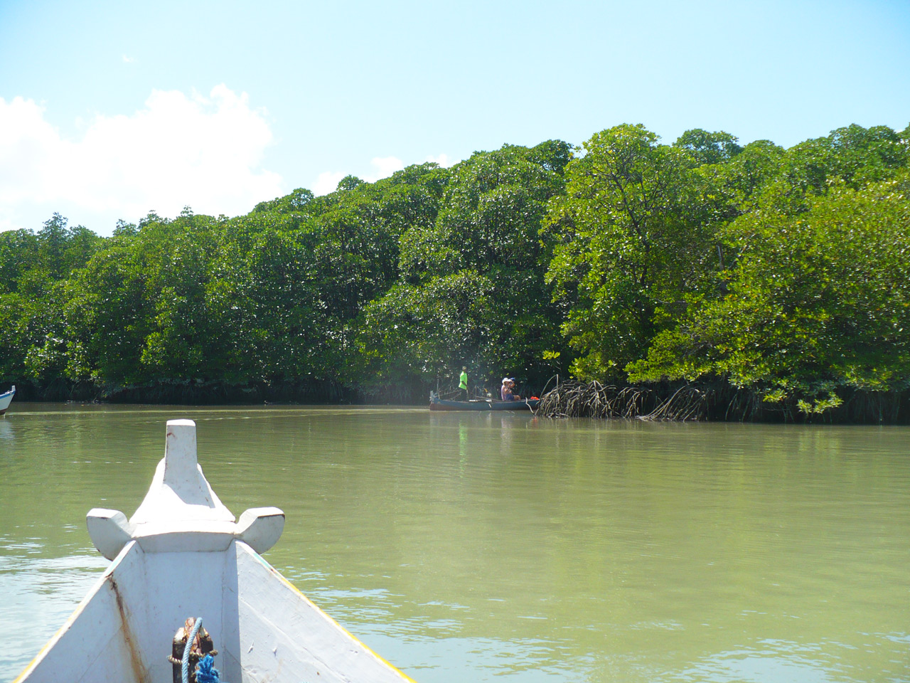 Mangrove GoBelitung Belitung Indonesia