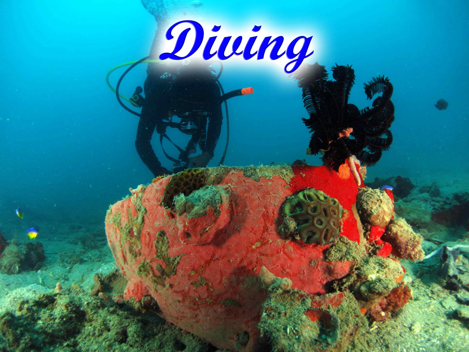 Diving-GoBelitung Belitung Indonesia