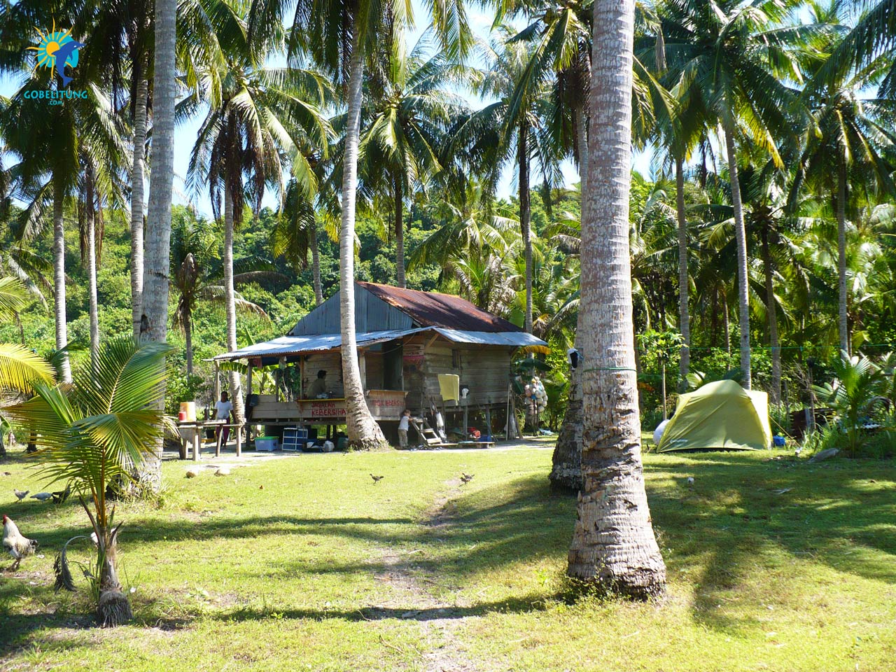 conservation des tortues de mer Belitung GoBelitung Indonesia conservation des tortues de mer Belitung GoBelitung Indonesia
