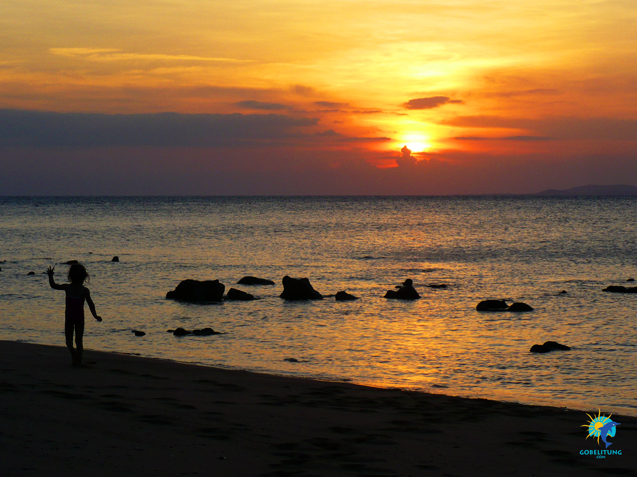 conservation des tortues de mer Belitung GoBelitung Indonesia conservation des tortues de mer Belitung GoBelitung Indonesia