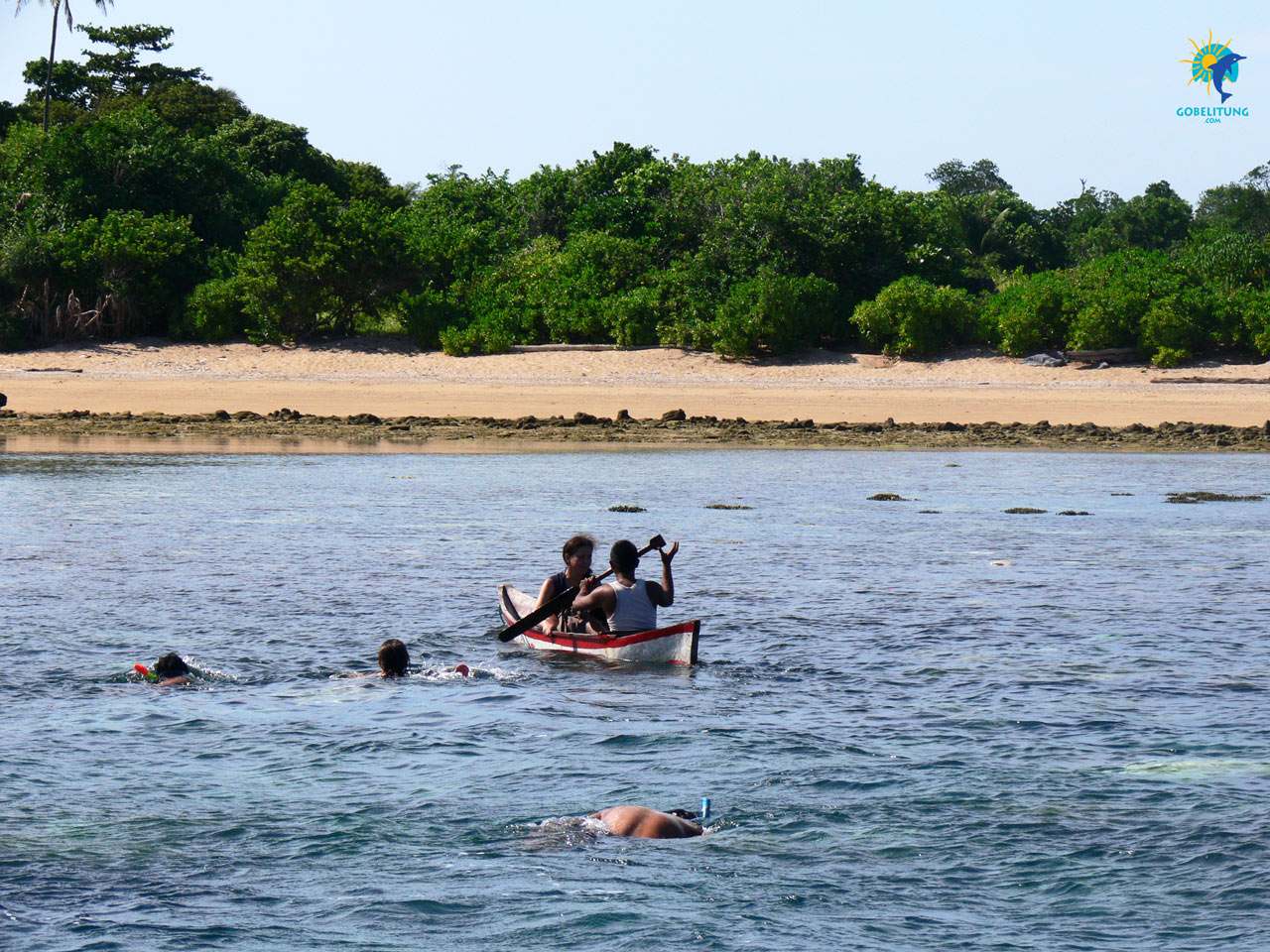 conservation des tortues de mer Belitung GoBelitung Indonesia conservation des tortues de mer Belitung GoBelitung Indonesia