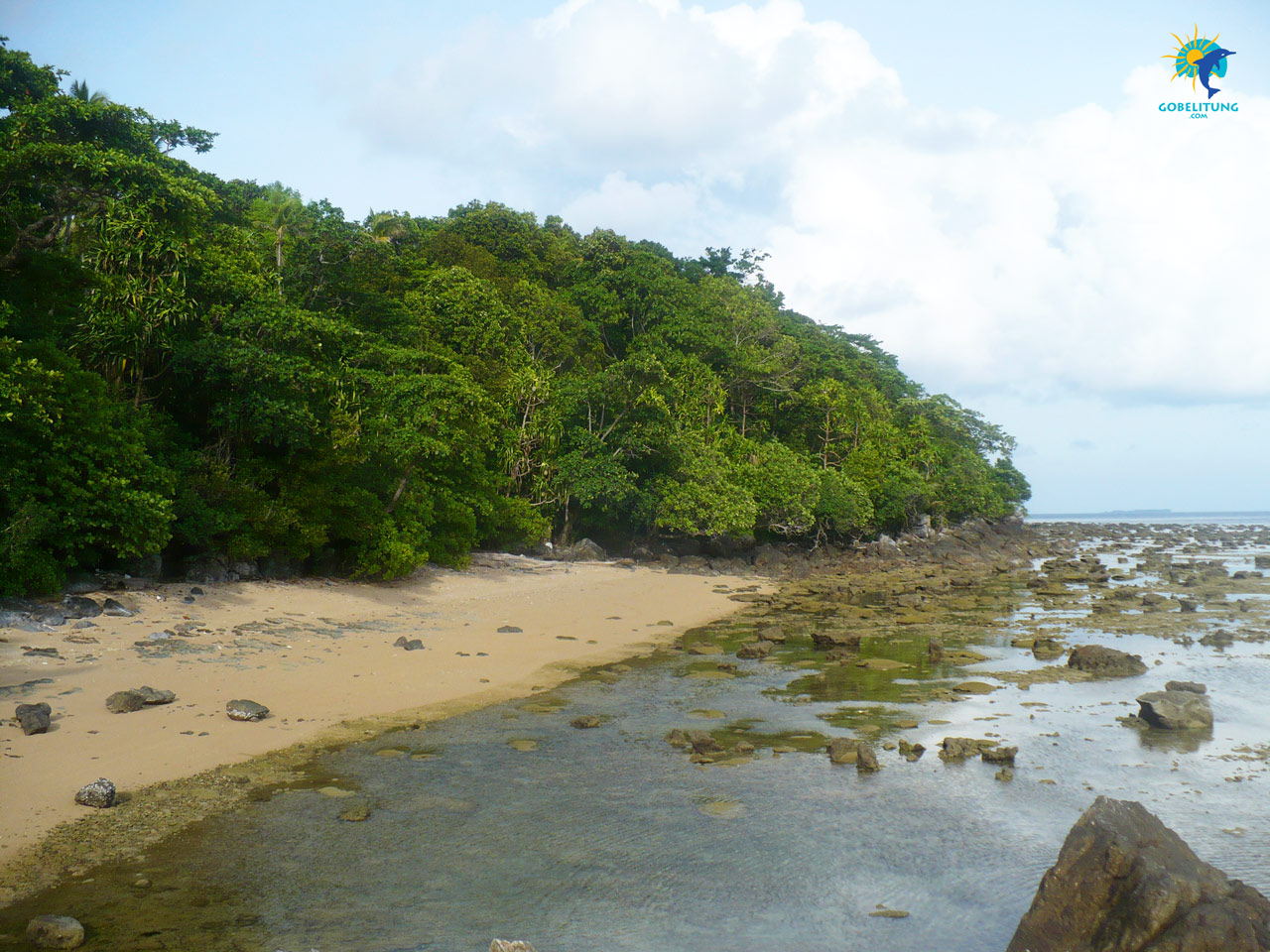 conservation des tortues de mer Belitung GoBelitung Indonesia conservation des tortues de mer Belitung GoBelitung Indonesia