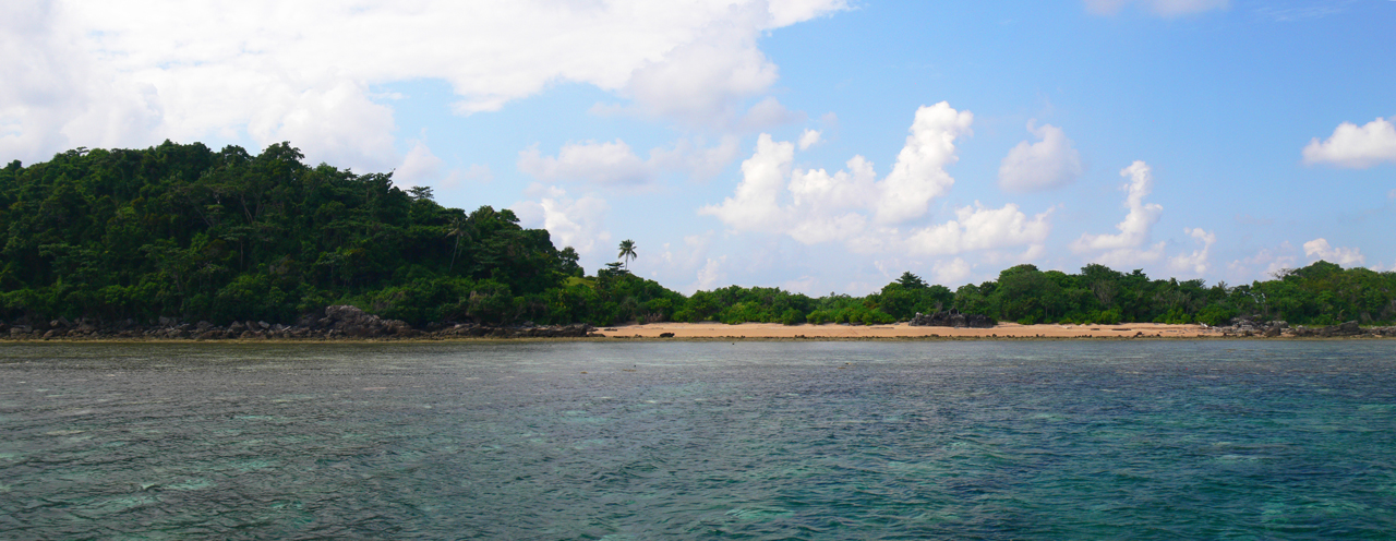 konservasi penyu Belitung konservasi penyu Belitung GoBelitung Indonesia