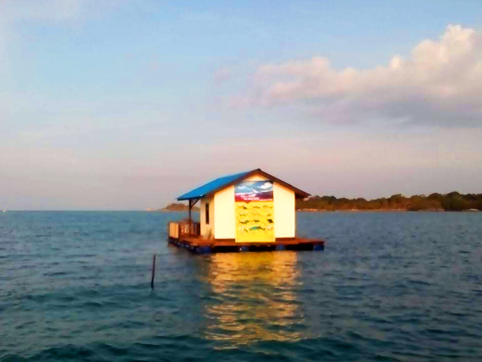 Conservation de Tridacnas Sungai Padang Belitung GoBelitung Indonesia