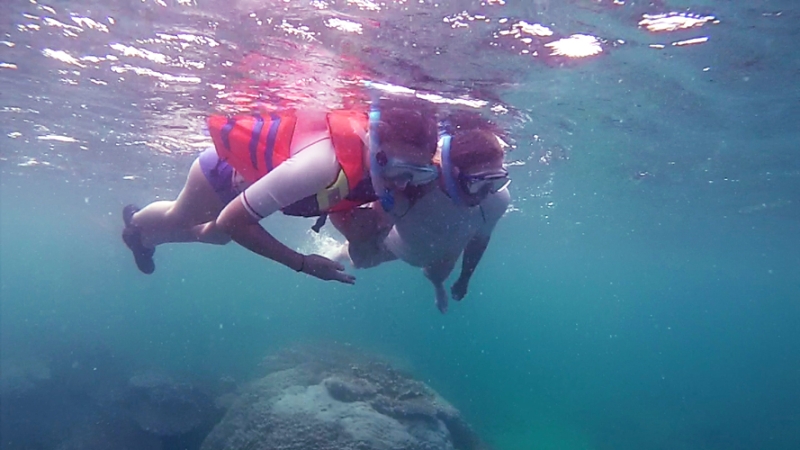 penyu tortue de mer Belitung snorkeling in Belitung wtih GoBelitung Indoensia