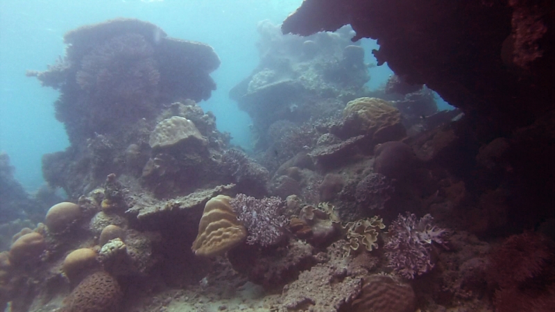 snorkeling in Belitung wtih GoBelitung Indoensia